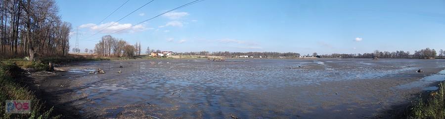 Pruchna