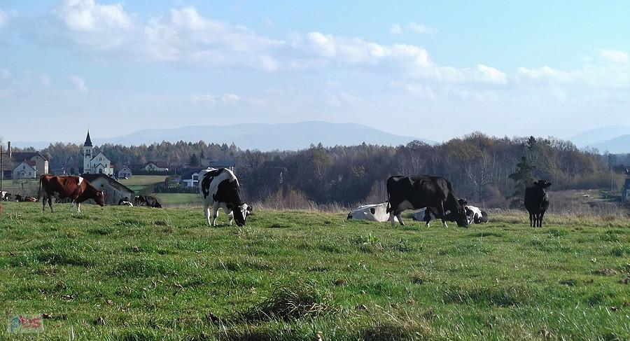 Takie widoki z okolicy Haźlach