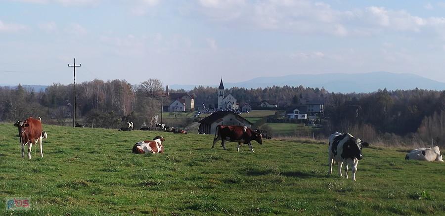 Haźlach