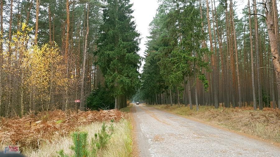 Dojazd pożarowy 40 w kierunku Wielgowa