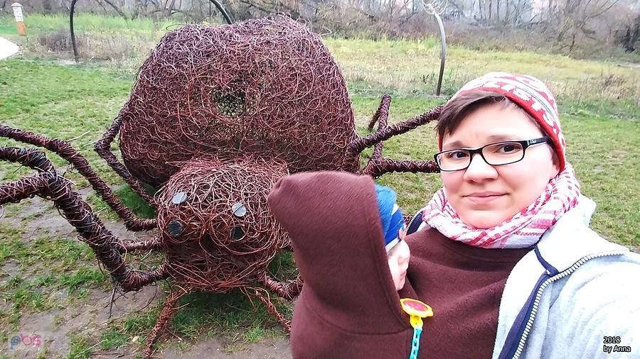 Pomiechówek – łąka motyli i spacer w koronach drzew. Pajączek.