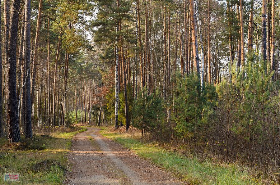 Droga z Częstochowy do Olsztyna od tyłu