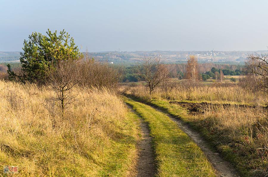Choroń - widok na Przybynów