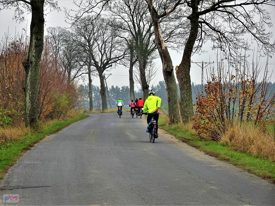 Rowerowe 100 km na 100 lat Niepodległości z AGR -Tczew...