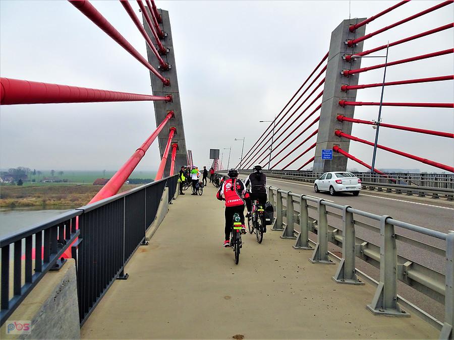 Rowerowe 100 km na 100 lat Niepodległości z AGR -Tczew...