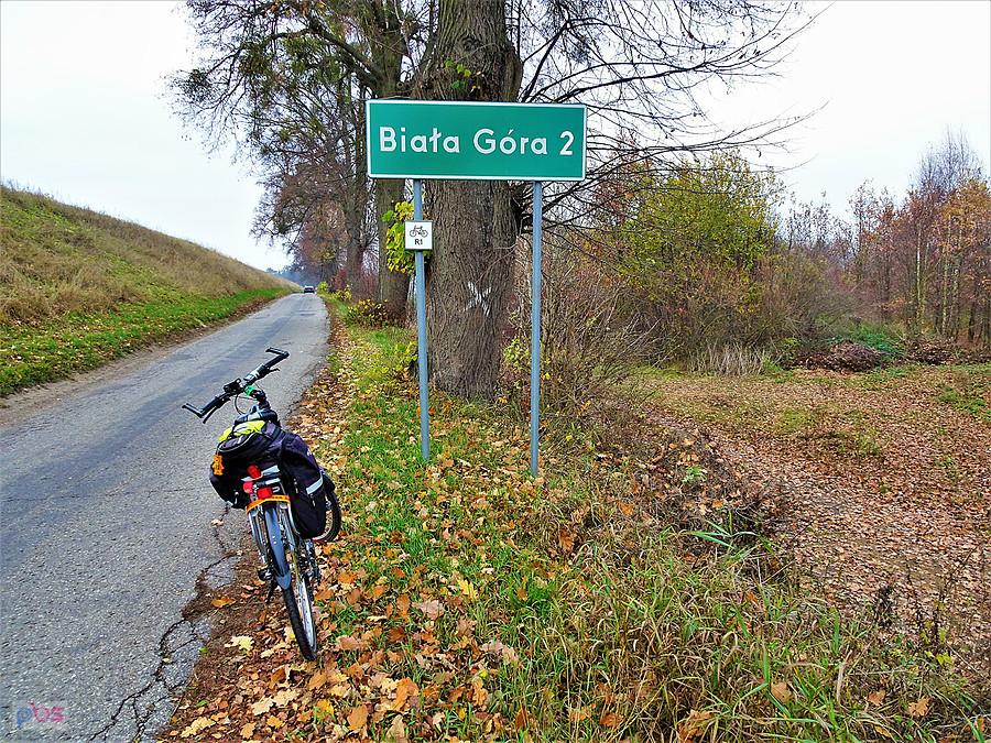 Rowerowe 100 km na 100 lat Niepodległości z AGR -Tczew...