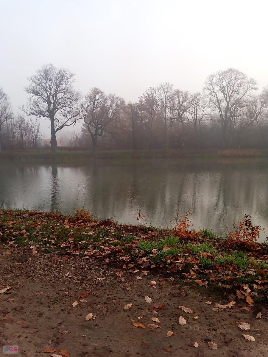 Staw w Ożarowie