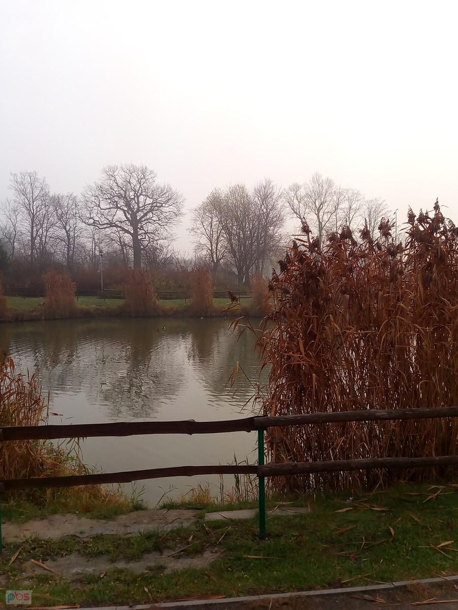 Staw w Borzęcinie w jesiennej szacie