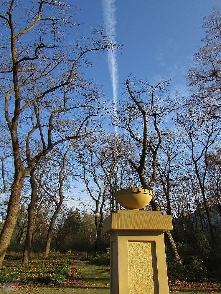 Błękitne niebo nad parkiem