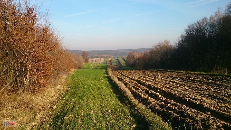 Pofałdowane pola koło Batorza