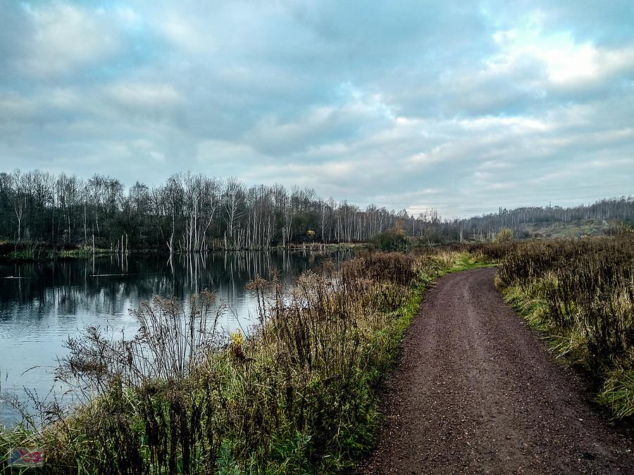 Droga wzdłuż potoku Bielszowickiego
