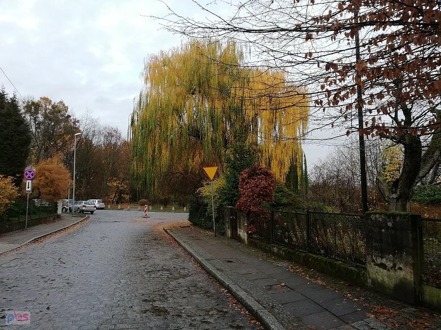 Ulica Bolesława Prusa 13 listopada 18 r.