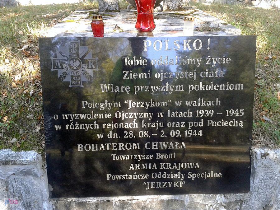 Chwała powstańczym oddziałom specjalnym