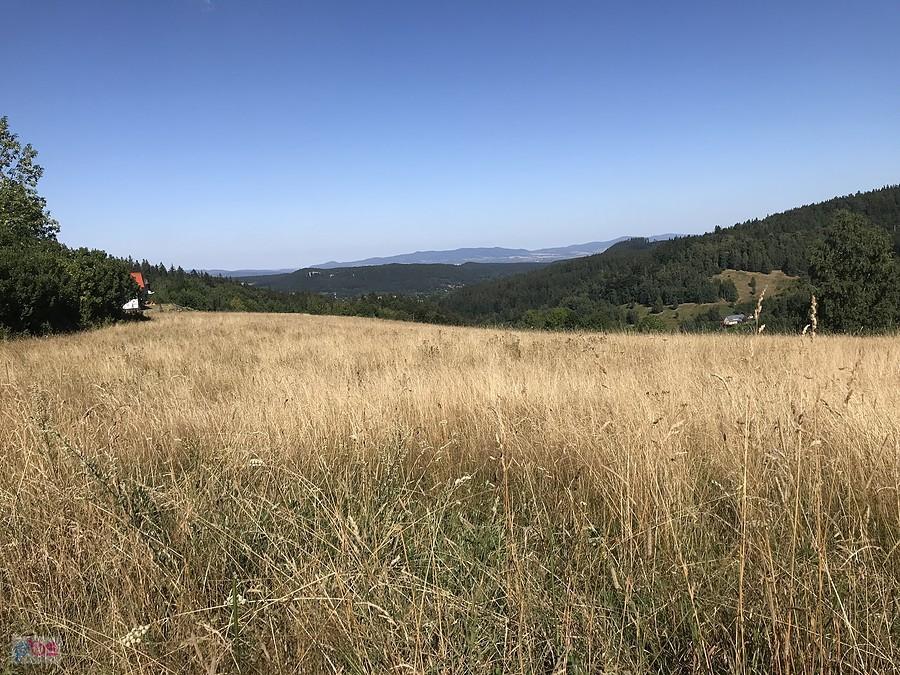 panorama z nad miasta Duszniki