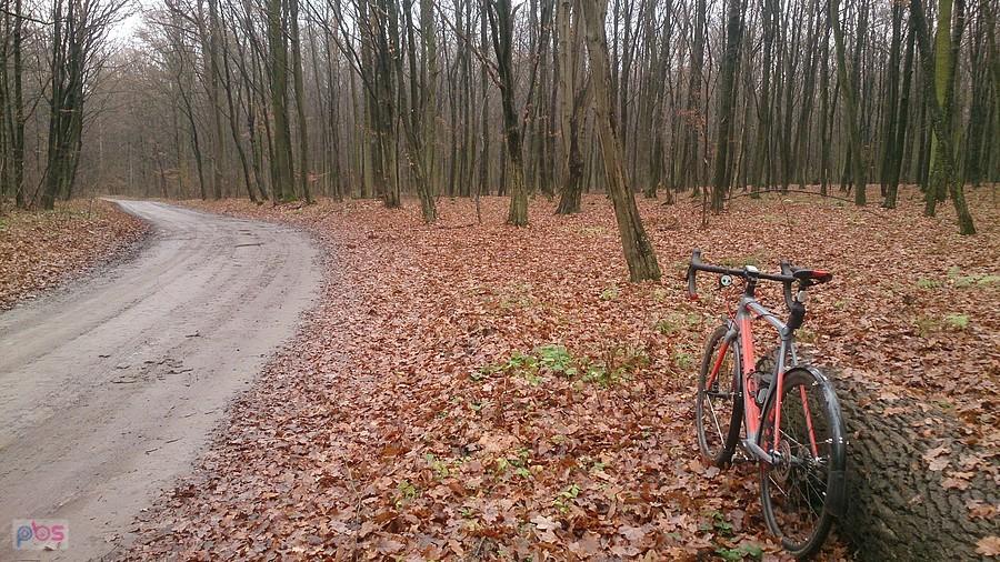 Błotnista droga leśna