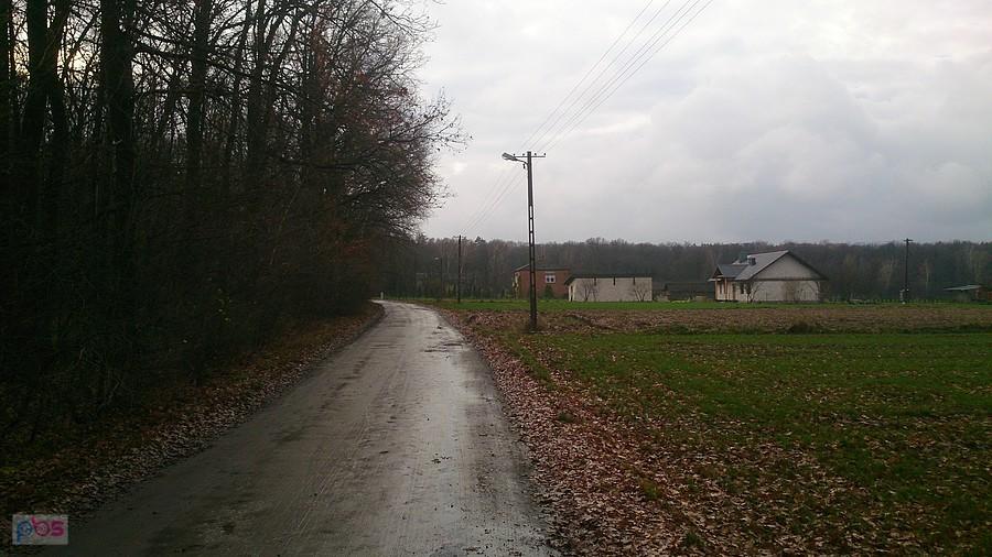 Syf i mokro czyli listopad