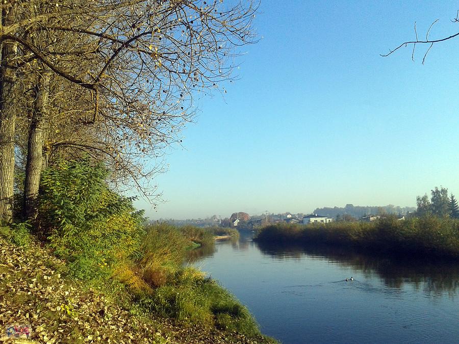 Pilica, Sulejów