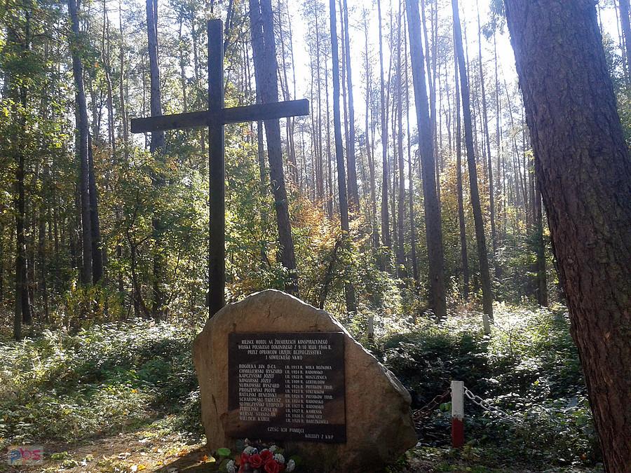 Kolejny przykład sąsiedzkiej pomocy