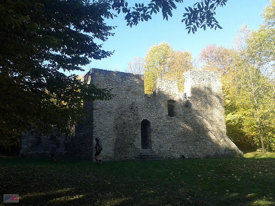 Ruiny w Bąkowej Górze