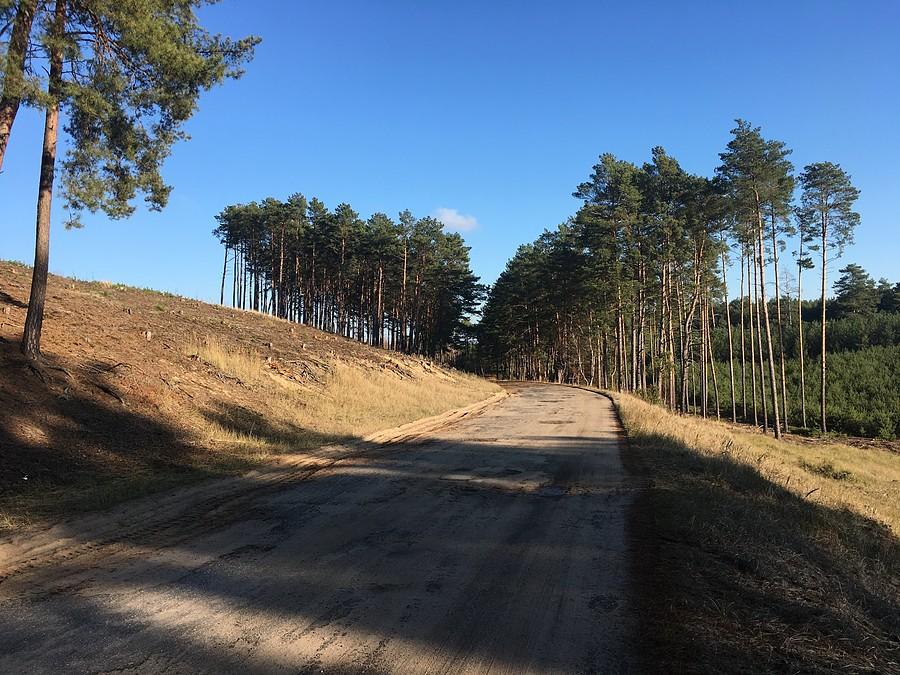 Trasa Sieraków - Rzecin