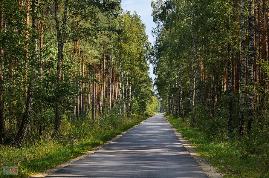 Droga Kuźnica Wąsowska - Kuczków