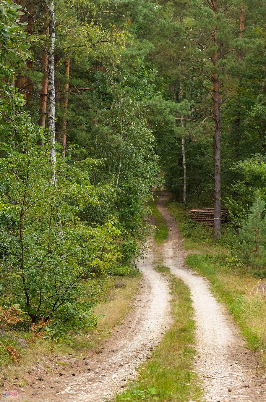 Kąty