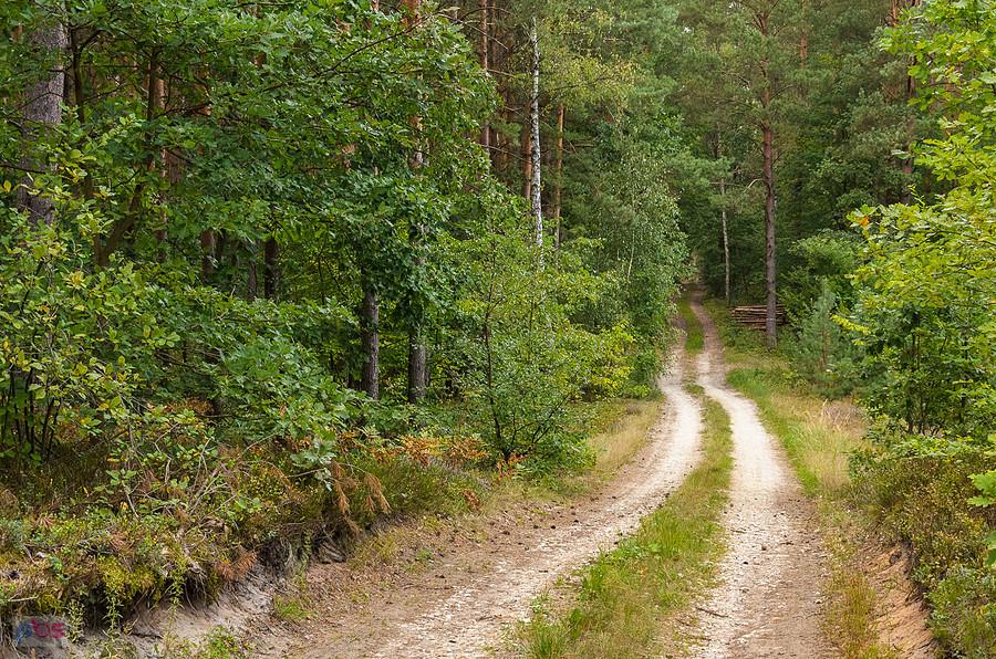 Kąty - przy wzniesieniu Góry Sowie