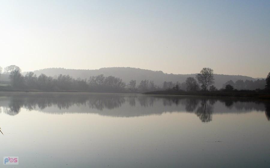 Zduny wkoło