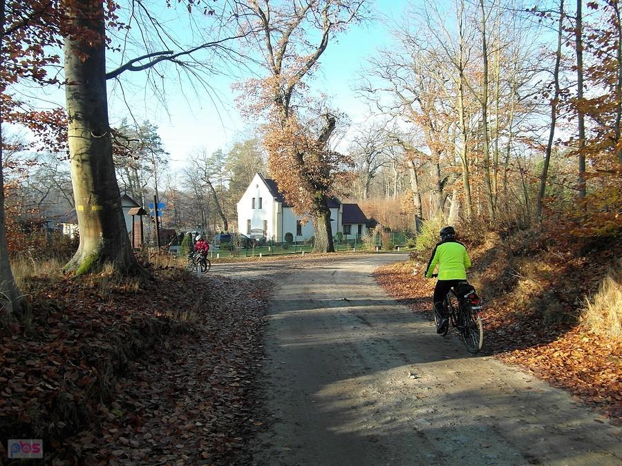 Zduny wkoło
