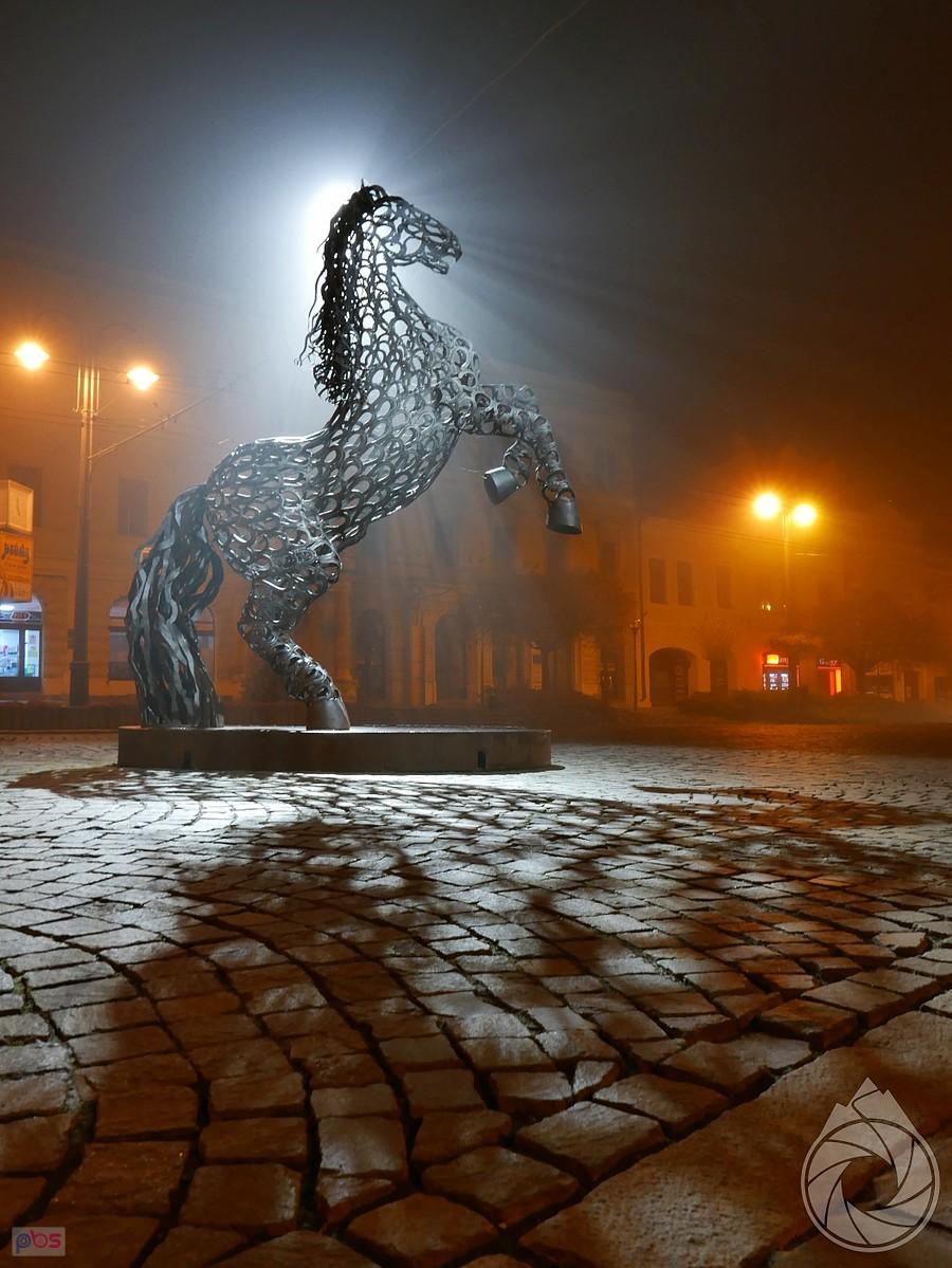 konik na rynku w Prešovie