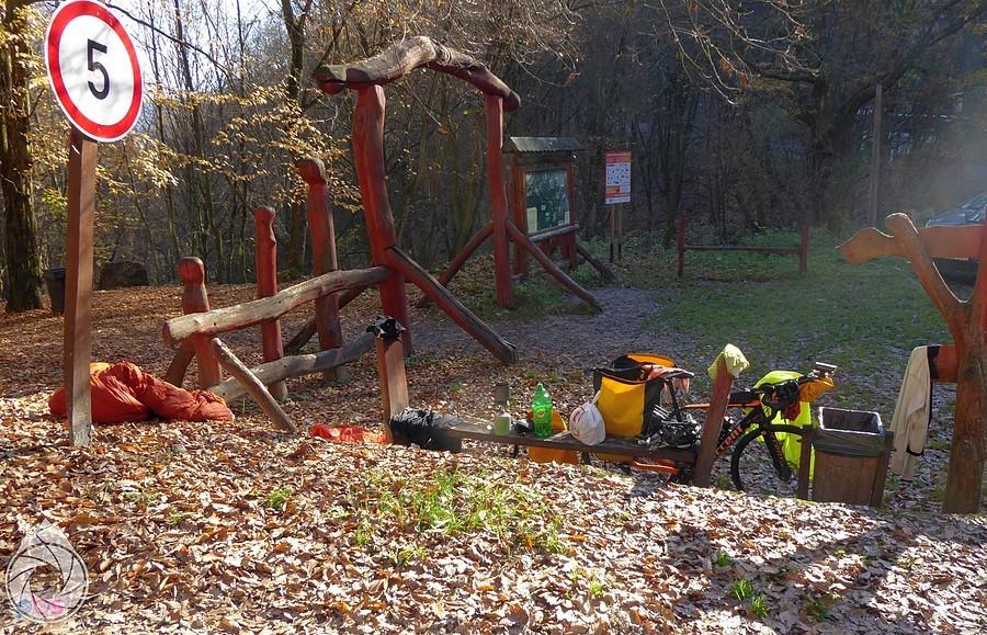 suszonko przy ścieżce z wiatami i małym tengerszem