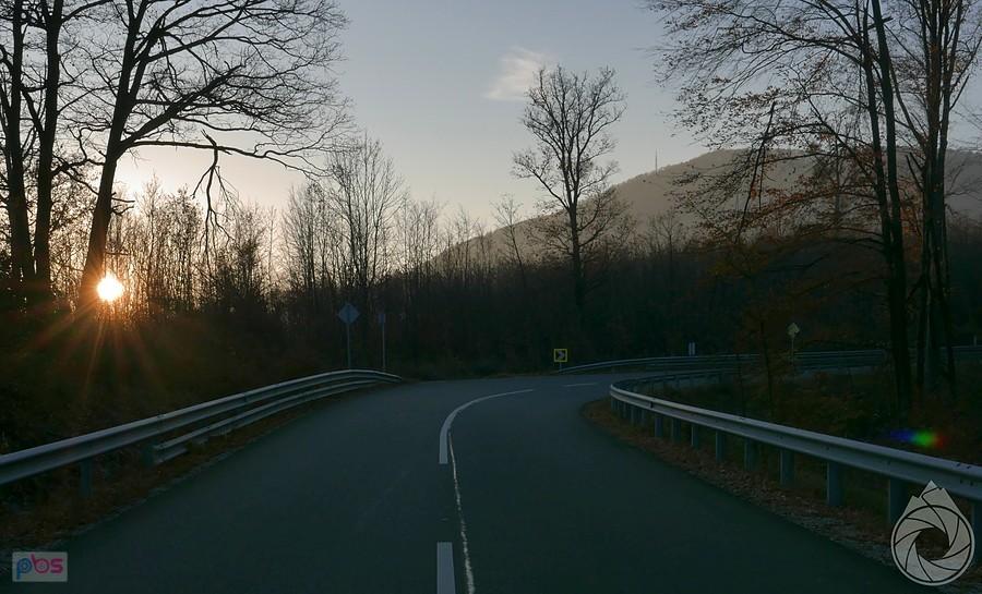 podjazd w cieniu