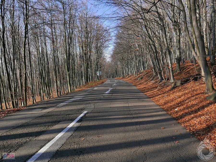 zjaaaaazd po trochę dziurawym asfalcie