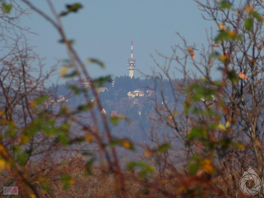 Galya-teto spod Matry