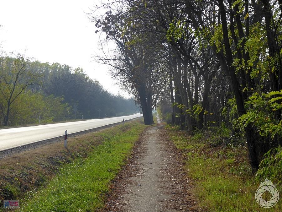 pofalowana ścieżka rowerowa