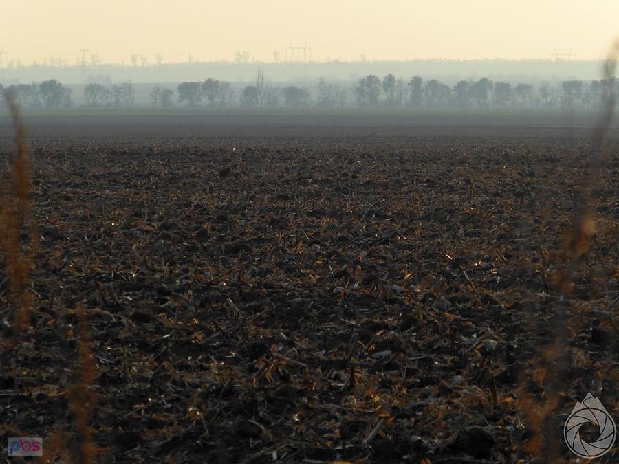 wieczorem mgły przychodzą na pola