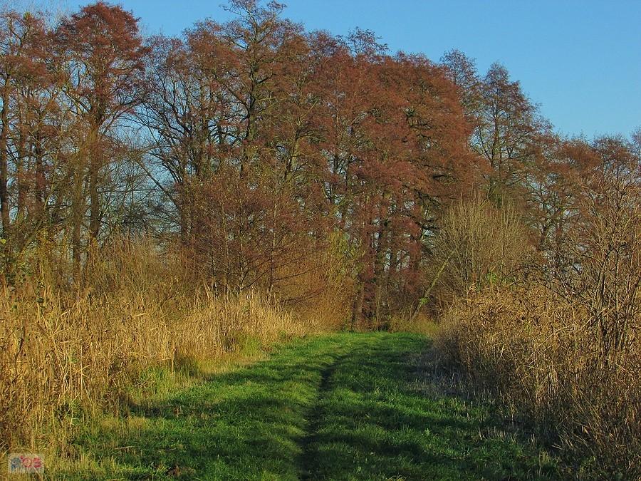 Grobla pomiędzy stawami