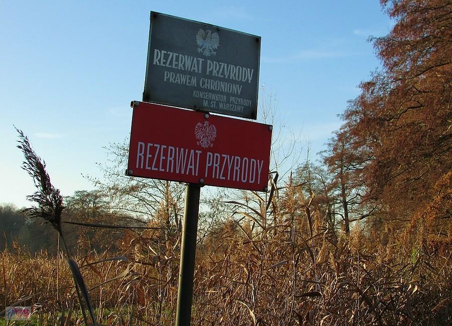 Rezerwat przyrody Stawy Raszyńskie