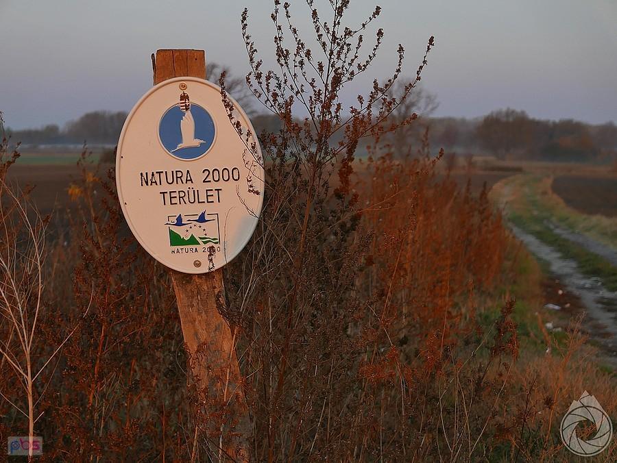 oprócz NP jestem przy ptasiej N2000