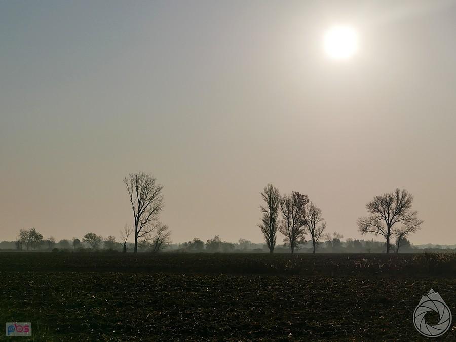 nad polami wciąż mgły