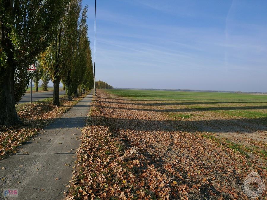 velo-ścieżka w dolinę Dunajca