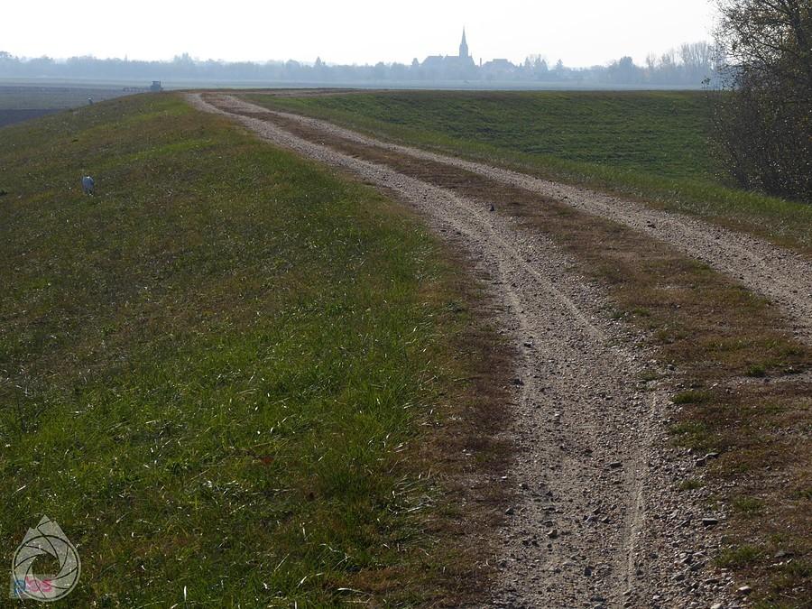 wciąż szutrowa ścieżka rowerowa