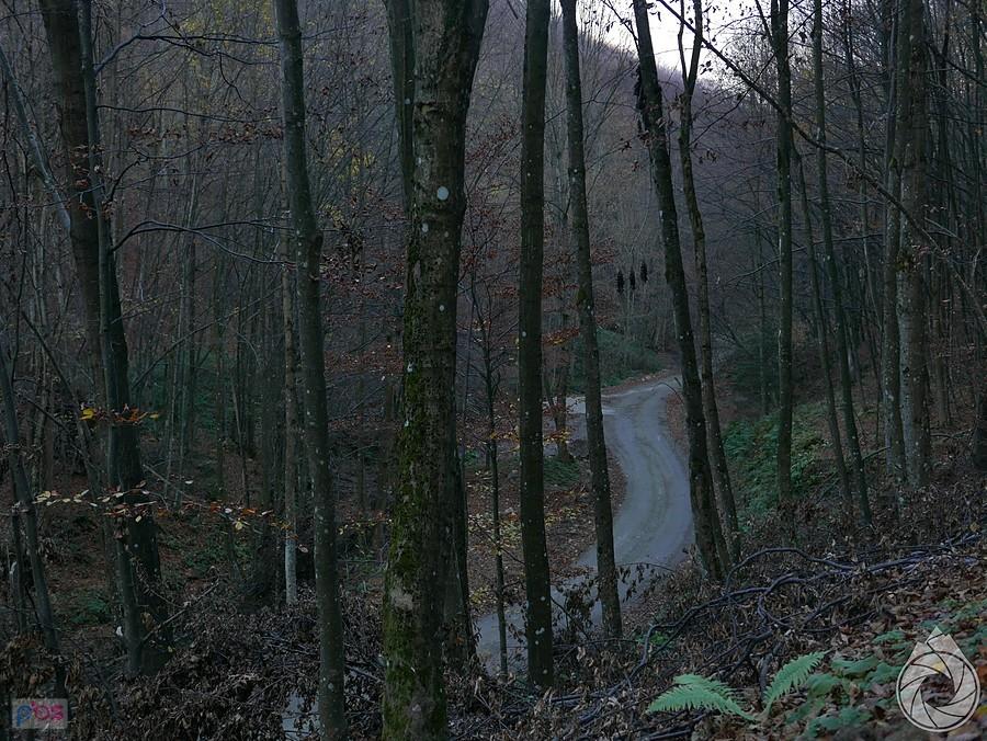 dalszy,szutrowy podjazd na przełęcz