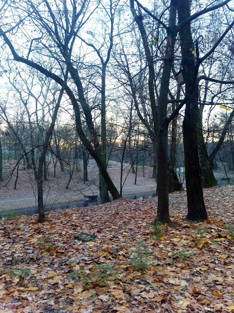 W parku na Forcie Bema