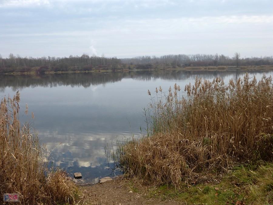 Kolejny staw