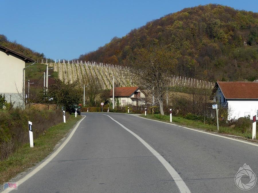 podjazd w winnice