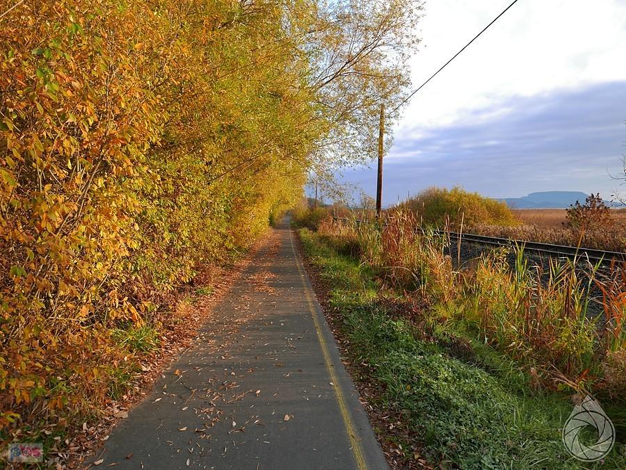 fajne ścieżki rowerowe wzdłuż torów nad wodą