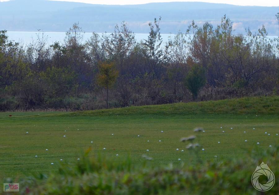 pole golfowe z milionem piłeczk, których NIE WOLNO PODNOSIĆ! :P