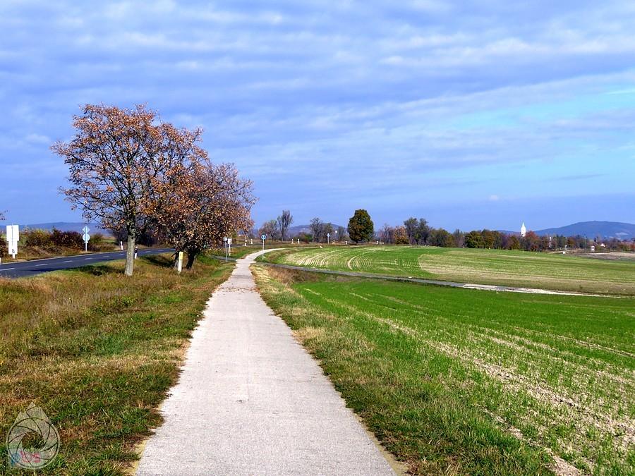 ścieżka w stronę Balatonfüred