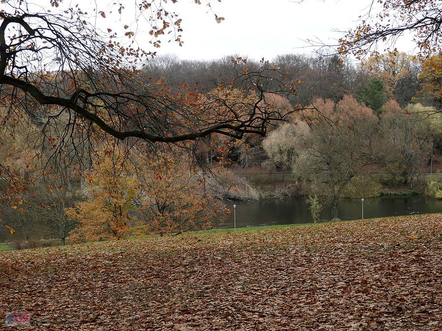 Park Kasprowicza w dole jezioro Rusałka.